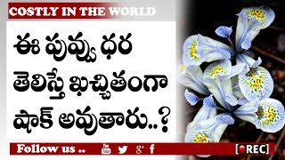 Shocking This Flower Cost 20 cr l Iris Japonica Flower | RECTVINDIA
