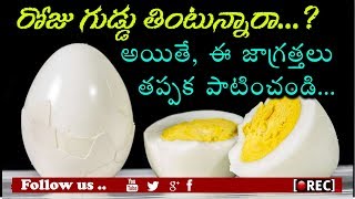 రోజు గుడ్డు తింటున్నారా అయితే ఈ వీడియో చూడండి l Top 10 Health Benefits of Eating Eggs l rectvindia