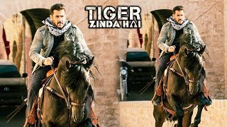 Salman Khan's HORSE RIDING LOOK Creates Thunder | Tiger Zinda Hai