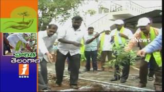 GHMC All Arrangements Set For haritha Haram Plants Distributes | iNews