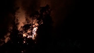 डलहौजी के जंगलों में लगी भयानक आग, दूसरे दिन भी नहीं पाया जा सका काबू