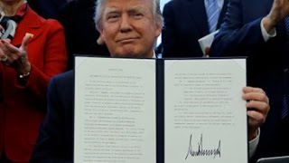 Trump signs order to streamline executive branch