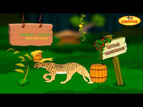 Learn - Domestic & Wild Animals - with Animation