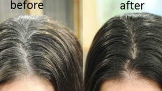Natural Hair Dye for Instant Black Hair | Turn white to black hair in 1 minute | JSuper Kaur