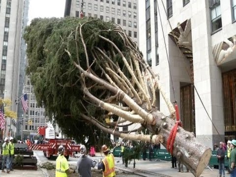 Christmas Tree Arrives at Rockefeller Center News Video
