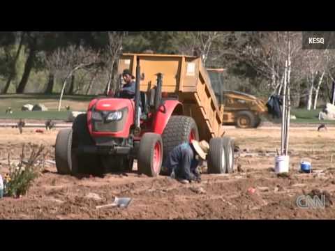 Construction disturbs vets gravesites News Video