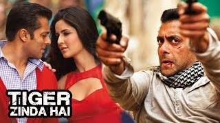 Salman's Tiger Zinda Hai Is Based On REAL LIFE INCIDENT