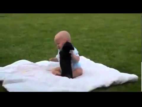 Dogs Meeting Babies for First Time Compilation 2014 - funny video