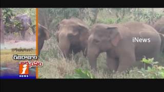Elephants Attacks On Rice Mills In Sikkolu | Srikakulam | iNews