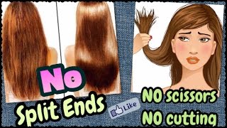 How to Get Rid of Split Ends INSTANTLY - NO Scissors NO Cutting | Miracle Natural Home Remedy