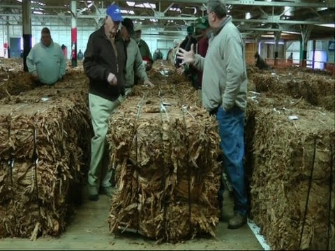 Fading Songs of Kentucky Tobacco Auctioneers News Video