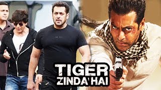 Salman & SRK At YRF Studios For Special Song In DWARF Film, Tiger Zinda Hai Release Date ANNOUNCED