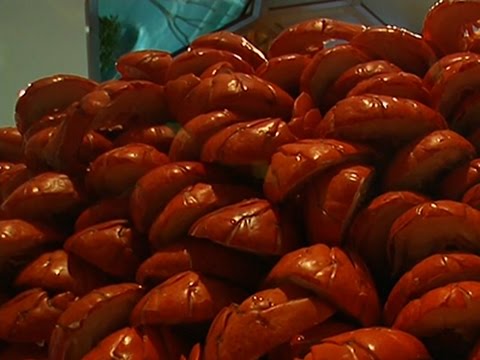Maine Lobster- the New Chinese New Year Delicacy News Video