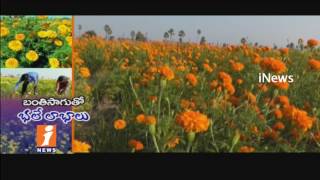 Farmer Get More Profits On Marigold Flowers Farming In Vemulapally | Nalgonda | iNews