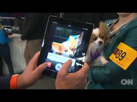 Apps go to the dogs News Video