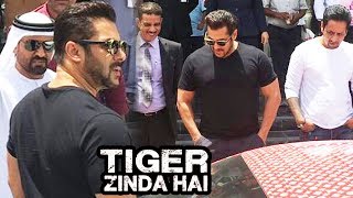 Salman Khan THANKS Abu Dhabi Government & FANS For Tiger Zinda Hai Shoot