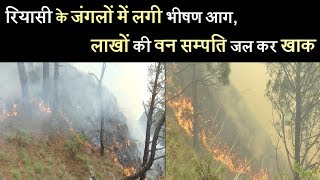 रियासी के जंगलों में लगी भीषण आग, लाखों की वन सम्पति जल कर खाक