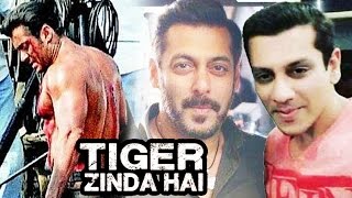 Salman Khan's Tiger Zinda Hai Body Double Gets Injured