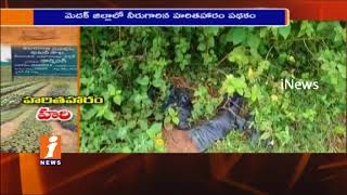 Govt Officials Negligence On Haritha Haram Slapping Plants In Medak | iNews