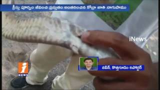 Snake With Legs Found at Rampuram Village | Bhadradri Kothagudem | iNews