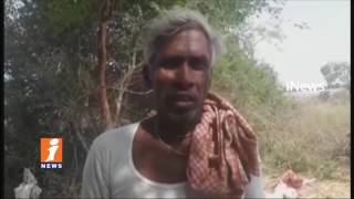 Tiger Kills Calf at Surram Village | Villagers in Fear | Medak | iNews