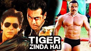 Shahrukh Khan In Salman's Tiger Zinda Hai, Sohail TURNS Pehelwan Onscreen