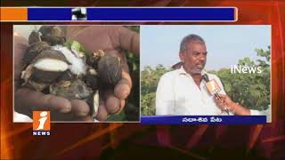 Cotton Farmers Condition Turns Worse Due To Lack of Supporting Price in Medak | Face To Face | iNews