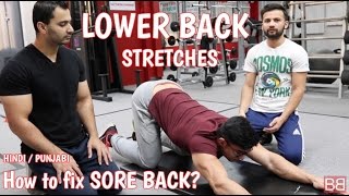 Stretches for LOW BACK PAIN! (Hindi / Punjabi)