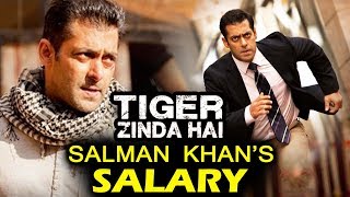 Salman Khan's SHOCKING Salary For Tiger Zinda Hai