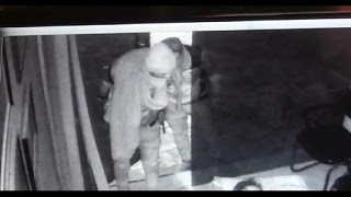 हथियार के बल पर पट्रोल पंप पर लूट,CCTV कैमरे में कैद चोर