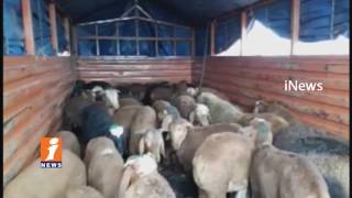 Minister Laxman And MLA Srinivas Goud Participates Sheeps Distribute In Vasinagar | iNews