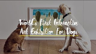 WATCH- World’s First Interactive Art Exhibition For Dogs