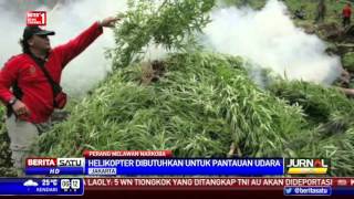 Polda Aceh Musnahkan Ratusan Hektar Ladang Ganja