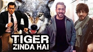 Salman PERFORMS Dangerous Stunts In Tiger Zinda Hai, Shahrukh Visits Salman's Tiger Zinda Hai Sets?