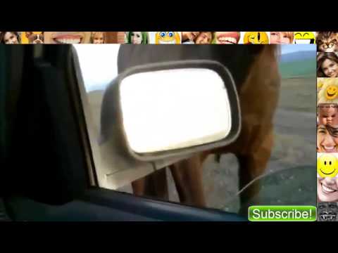 Epic Fail/Win Compilation February 2014 (Best of New Fails - Wins) - LMFAO - Best Funny Video