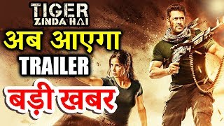 Get Ready! Salman's Tiger Zinda Hai Trailer On 7th November - Confirmed