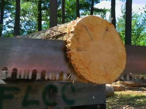Mastering Ax Throw, Sawing in Lumberjack Class News Video