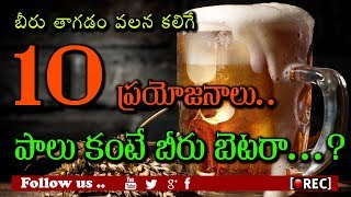 రోజు పాలుకన్నా బీరు తాగితే బెటరా l 10 Health Benefits of Beer l rectvindia
