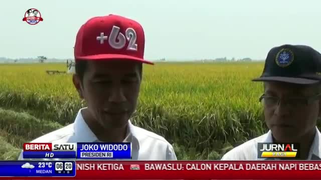 Presiden Jokowi Panen Raya di Karawang