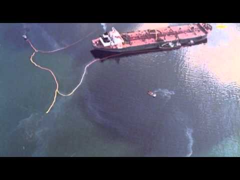 Impact of Valdez Spill Lingers After 25 Years News Video