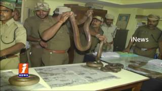 Six Rare Two-Headed Boa Snakes Rescued by Police while smuggling In Mahabubabad | iNews