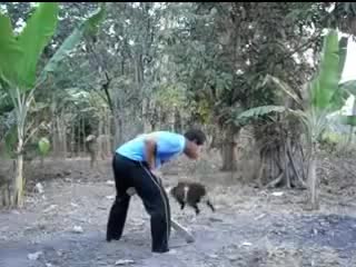 Video lucu - pria keluarkan hewan hewan saat bersin
