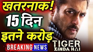 Salman Khan's Tiger Zinda Hai 15th Day Collection | Box Office