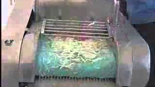 Vegetable Cutter Machine SEJAL ENTERPRISES PUNE