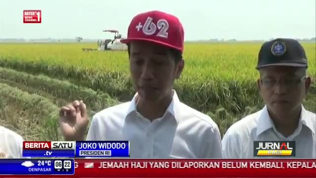 Jokowi Belum Akan Buka Kran Impor Beras