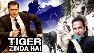 Salman's Tiger Zinda Hai ACTION Video Goes Viral, Wolves On The Sets Of Tiger Zinda Hai