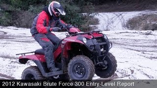 Kawasaki Brute Force 300 Entry - Level Report