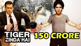 Salman Khan To FIGHT With WOLVES In Tiger Zinda Hai, Shahrukh's DWARF Film MASSIVE Budget Revealed