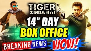 Salman Khan's Tiger Zinda Hai 14th Day Collection | Box Office