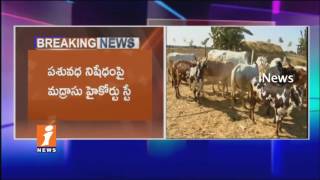 Madras High Court Stays Central Govt Ban On Cattle slaughter  | iNews